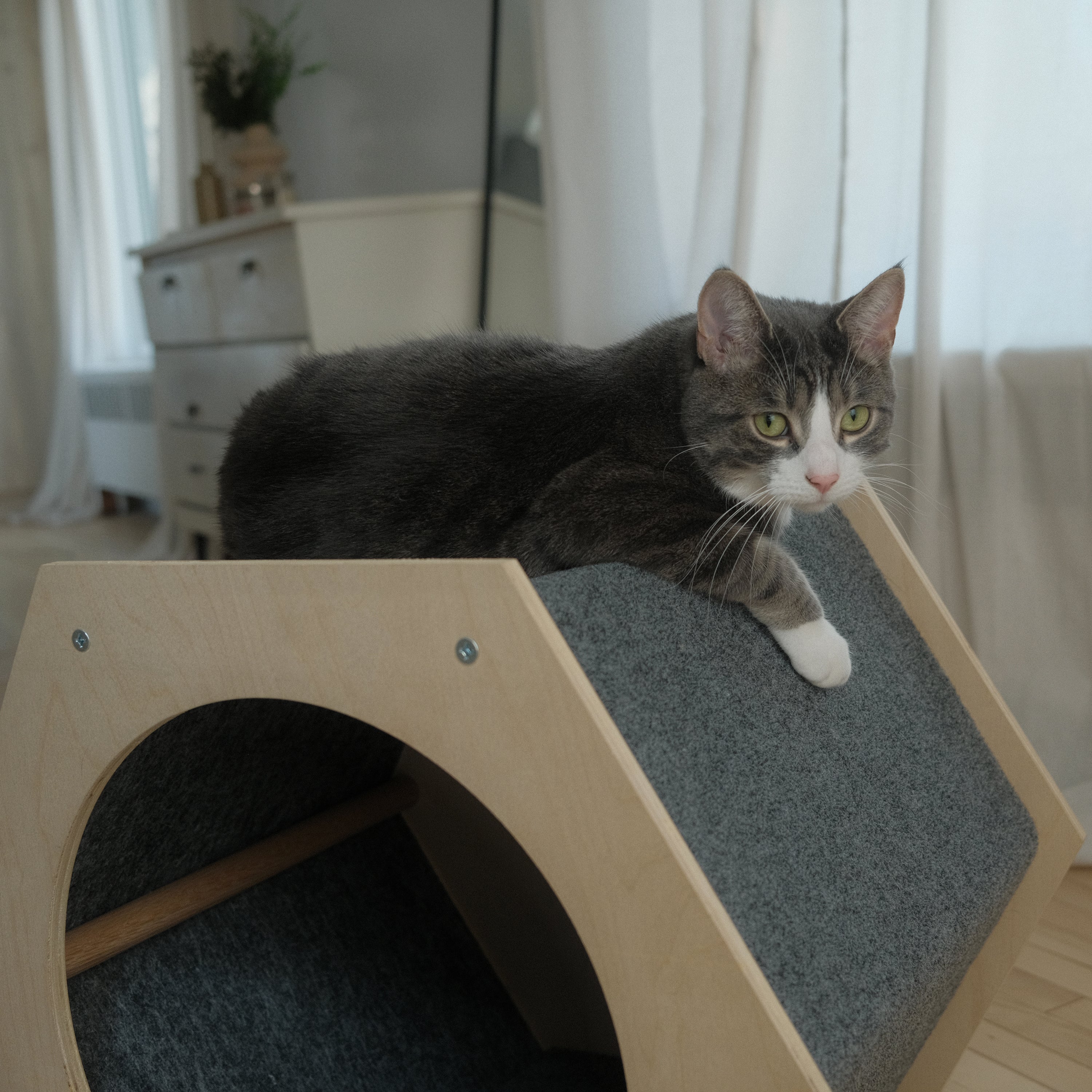 La maison Hexagonal Noba - Refuge griffable pour chat