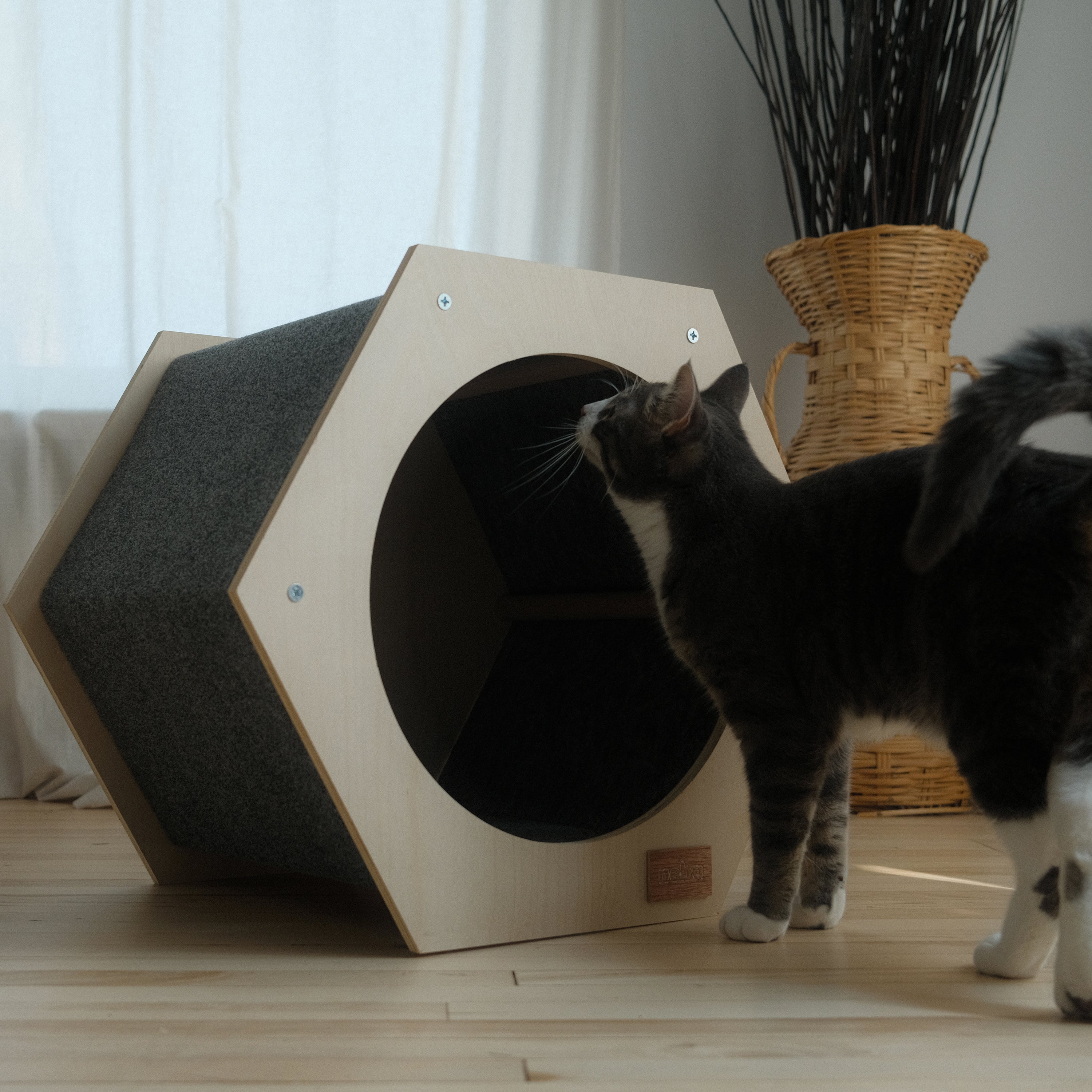 La maison Hexagonal Noba - Refuge griffable pour chat