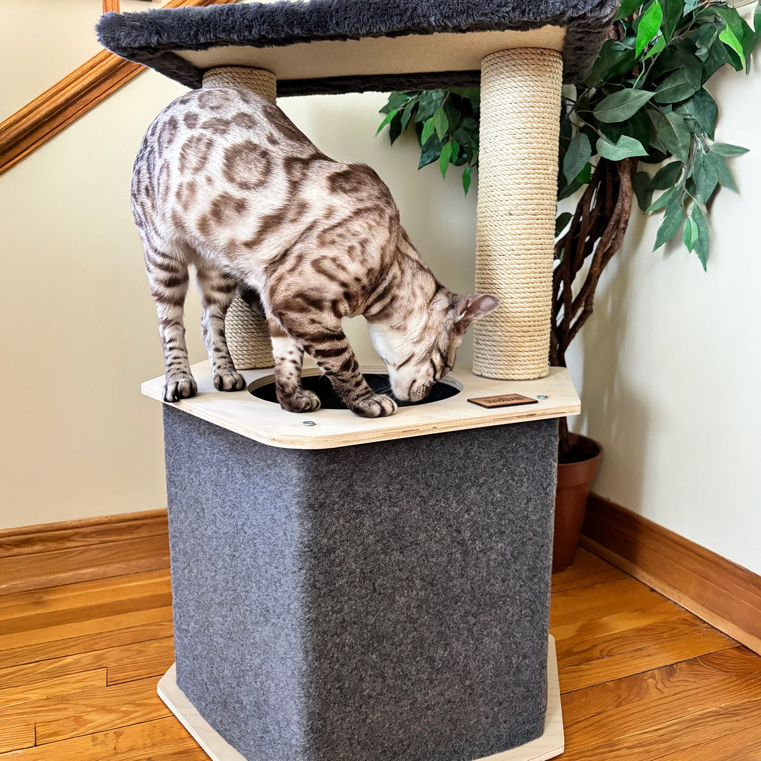L'arbre à chat Lodge – Confort, stabilité et cachette haut de gamme pour votre félin