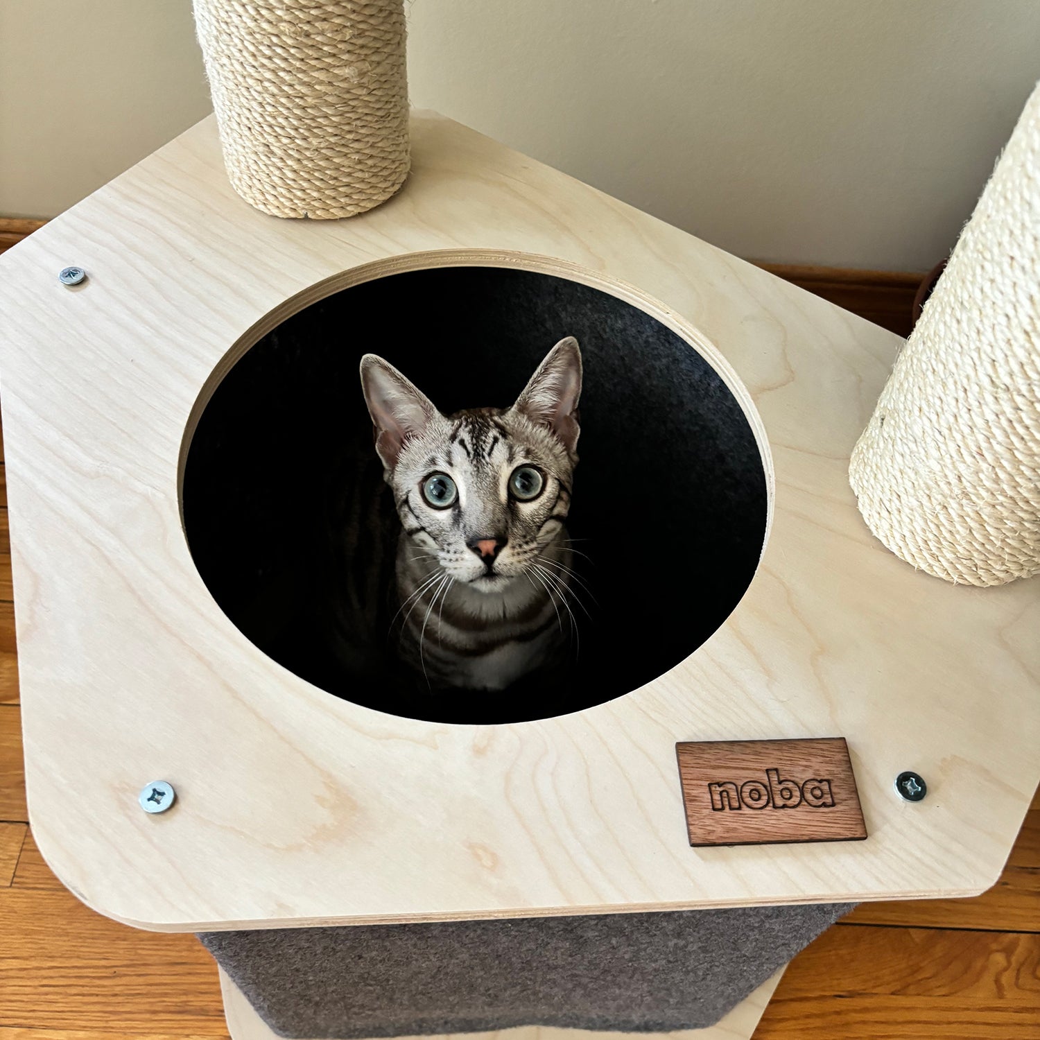 L'arbre à chat Lodge – Confort, stabilité et cachette haut de gamme pour votre félin