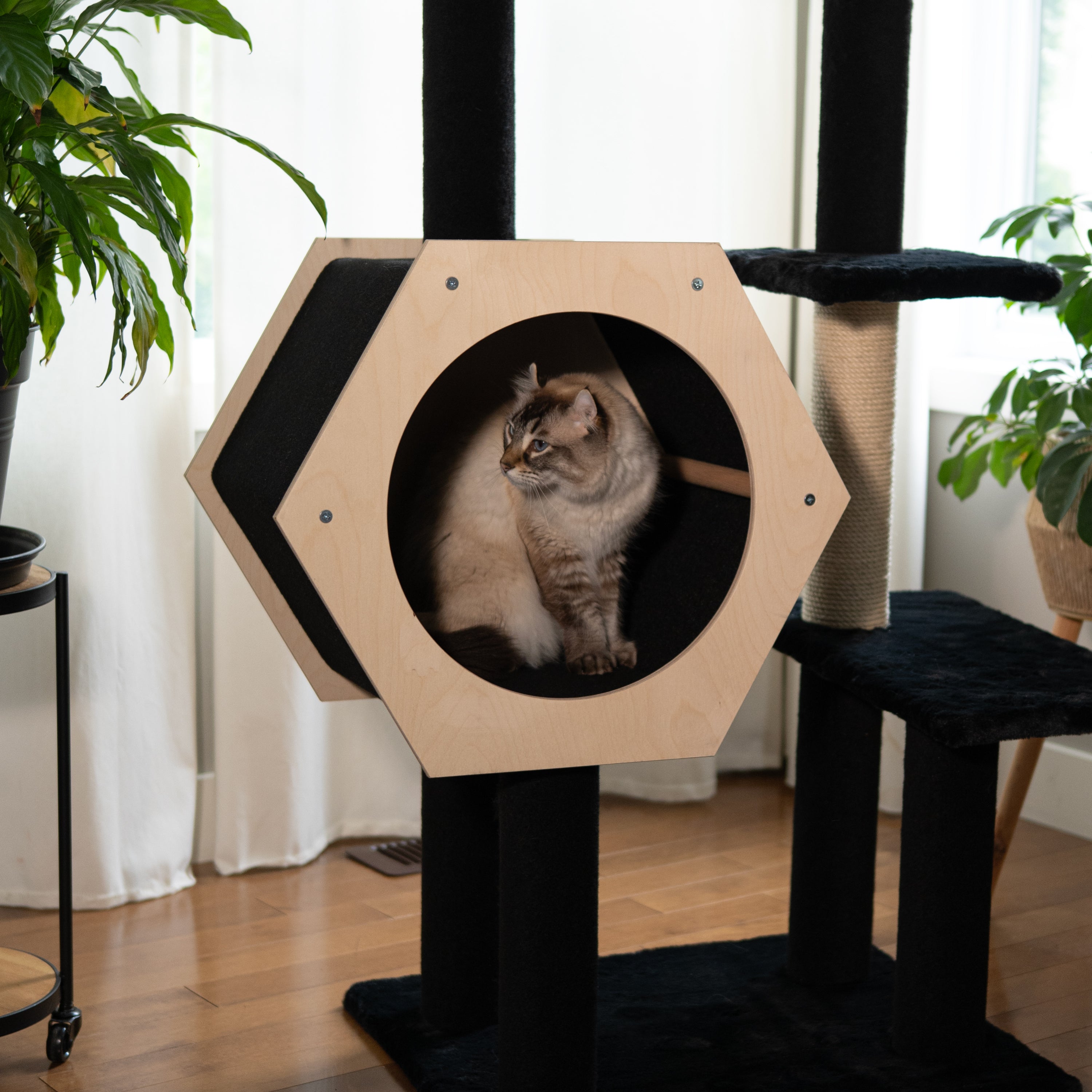 Hexagon House - Arbre à chat à 4 niveaux