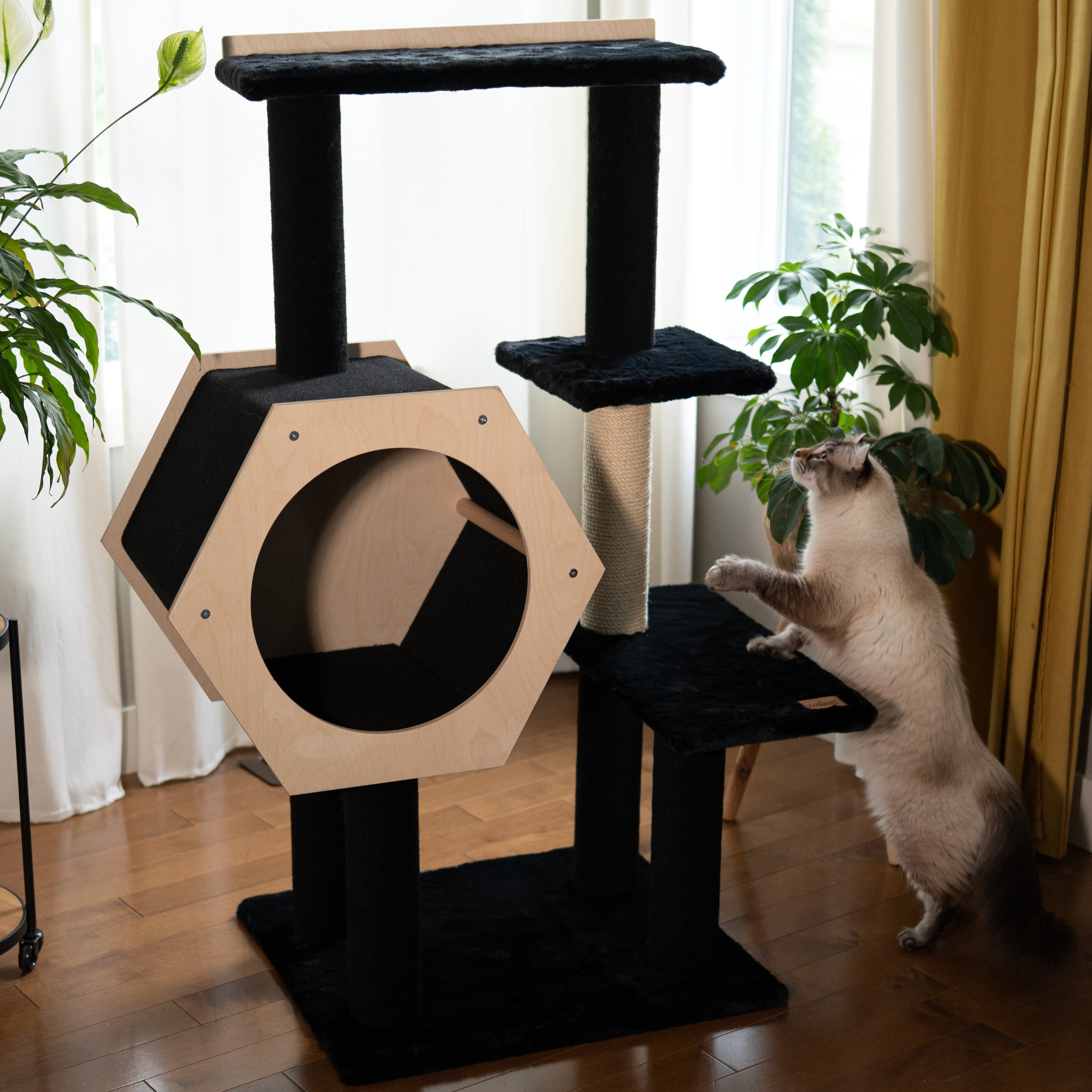 Hexagon House - Arbre à chat à 4 niveaux
