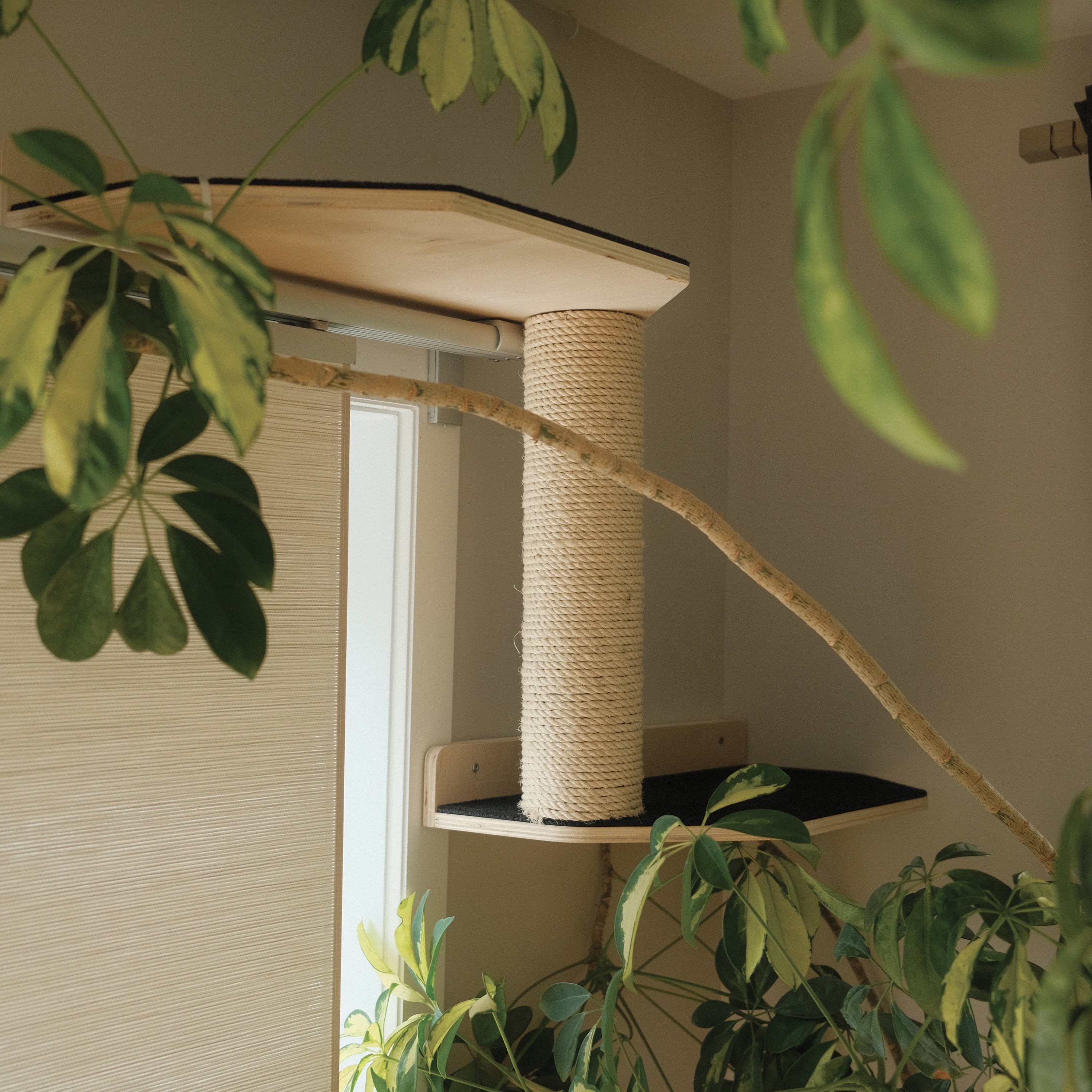 Kit de système mural Noba - L'aire de jeux verticale