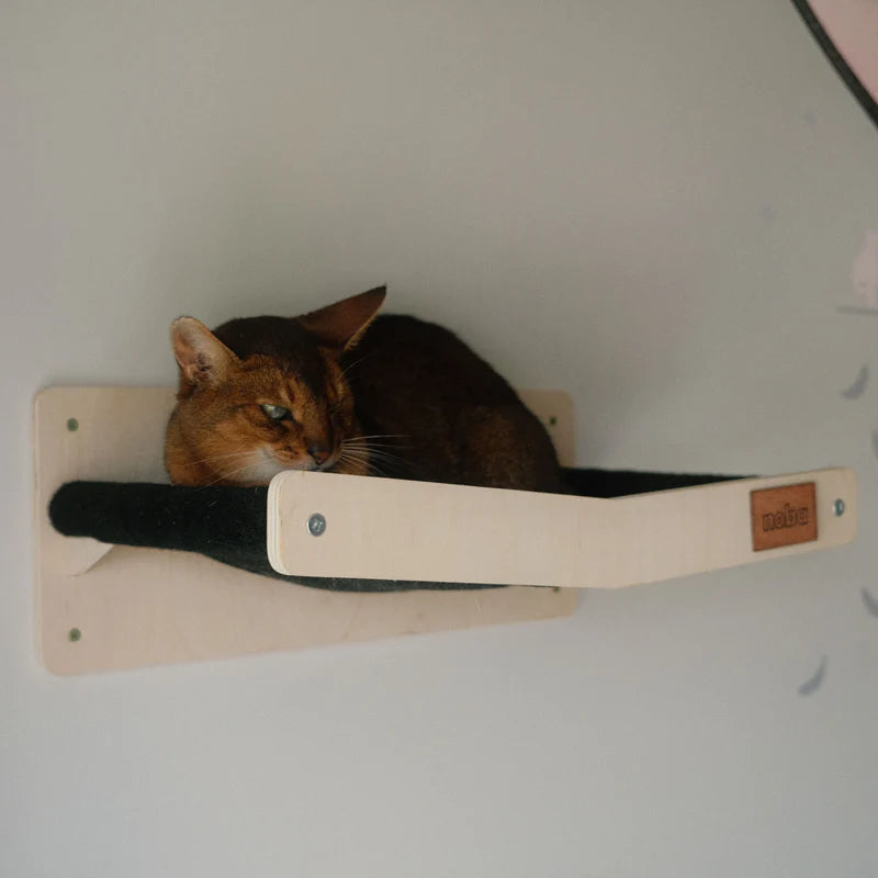 Wall Mounted Scratchable Cat Hammock