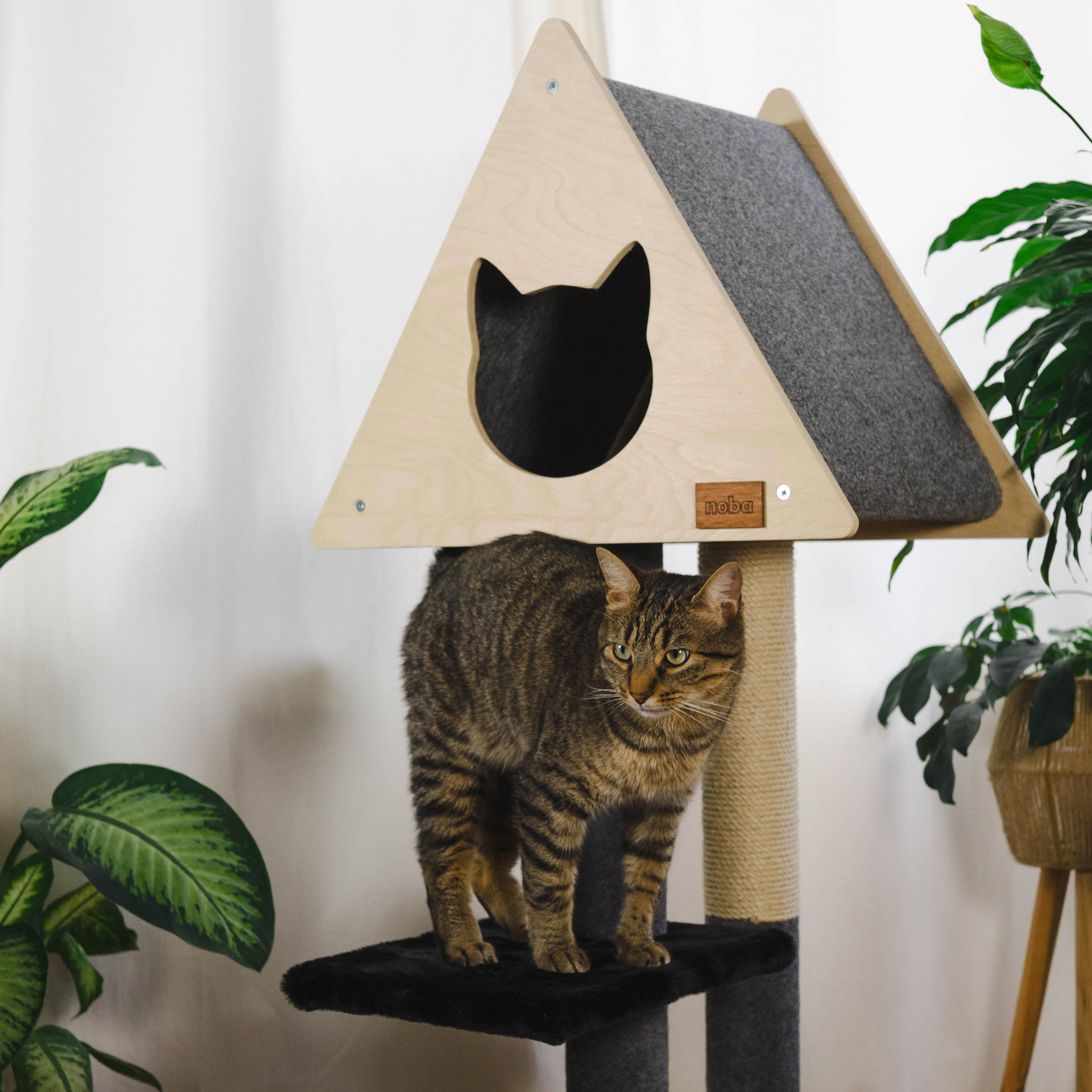 Arbre à chat de luxe Tipi avec corde en fique de haute qualité