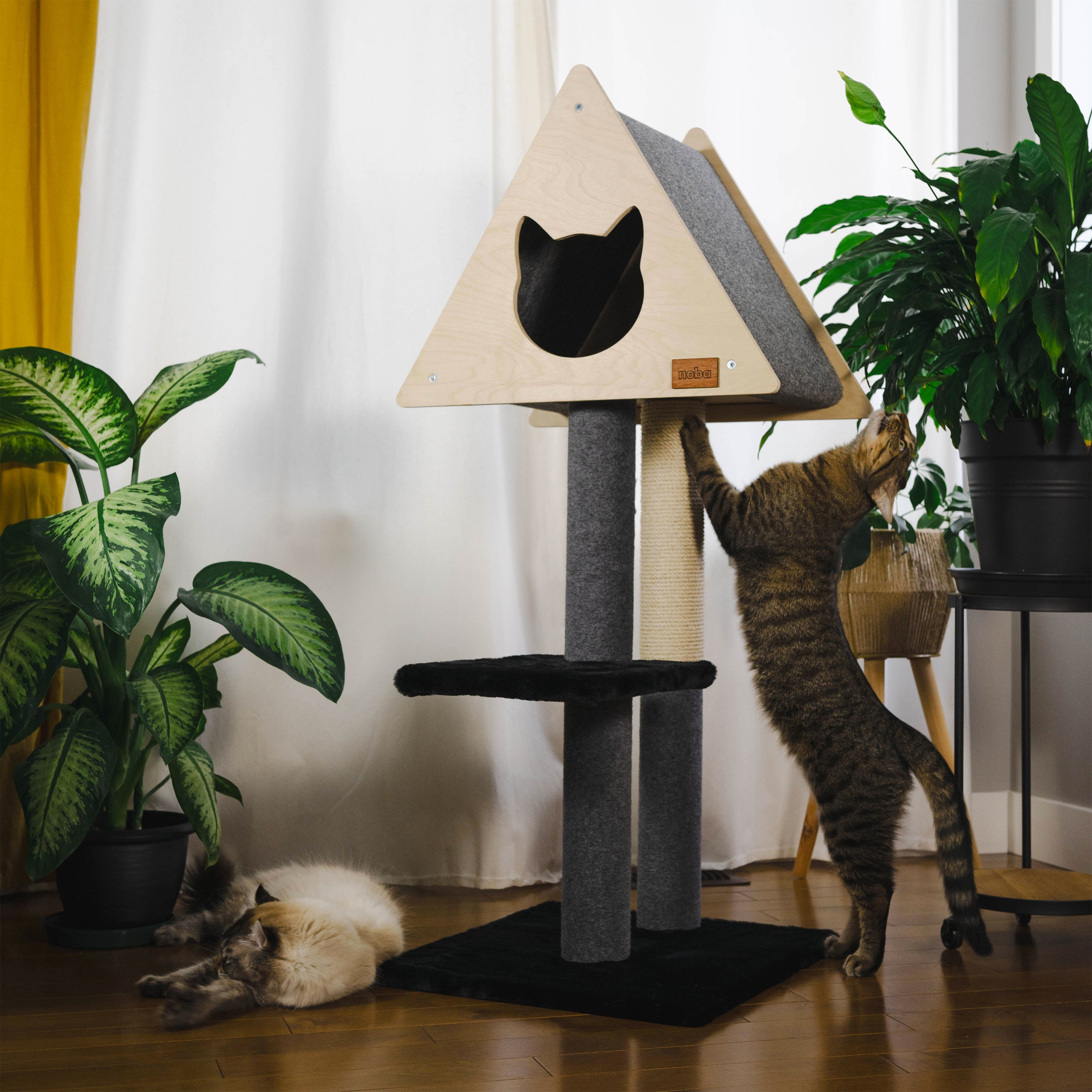 Arbre à chat de luxe Tipi avec corde en fique de haute qualité
