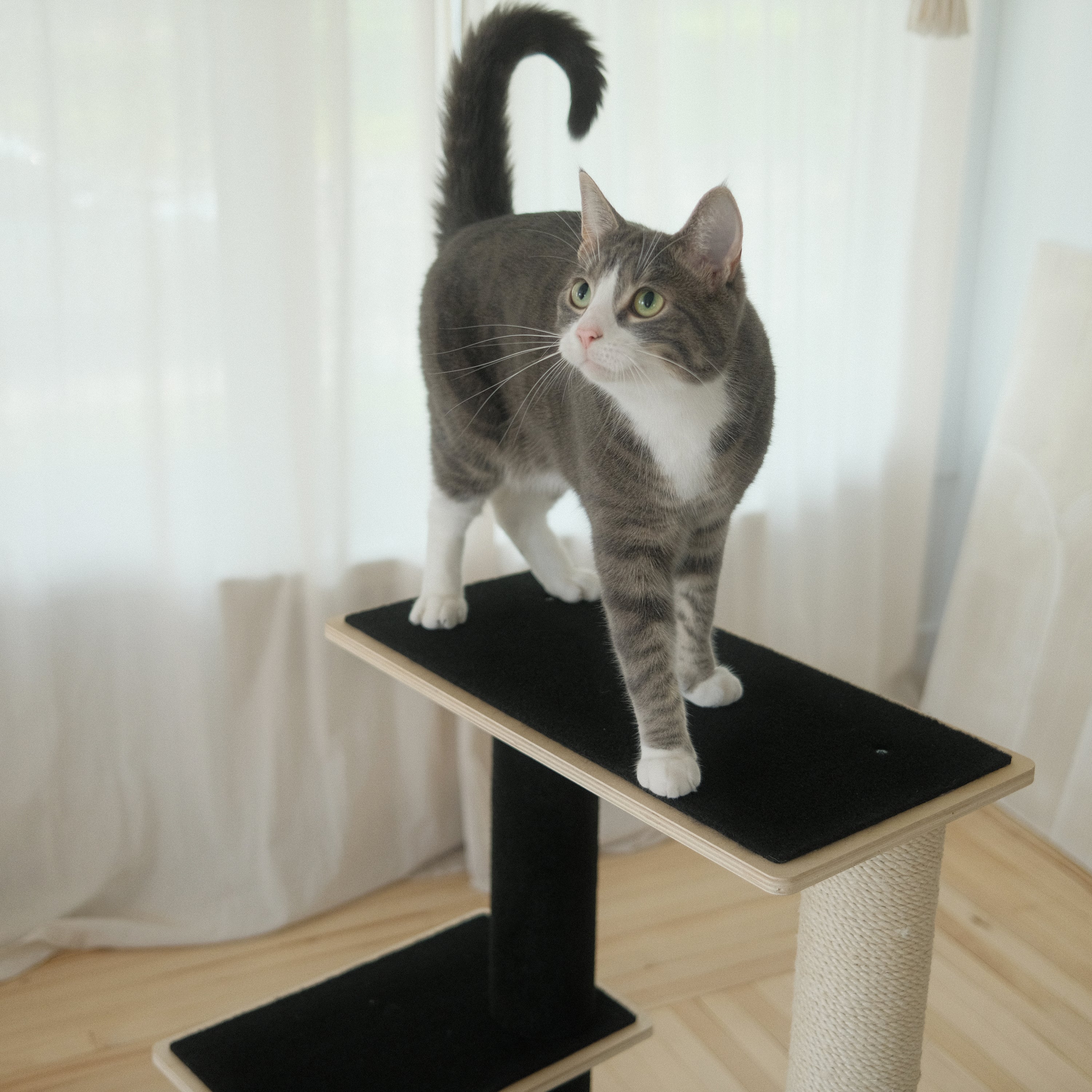 Arbre à Chat en Bois Contreplaqué Moderne Noba à 2 Étages