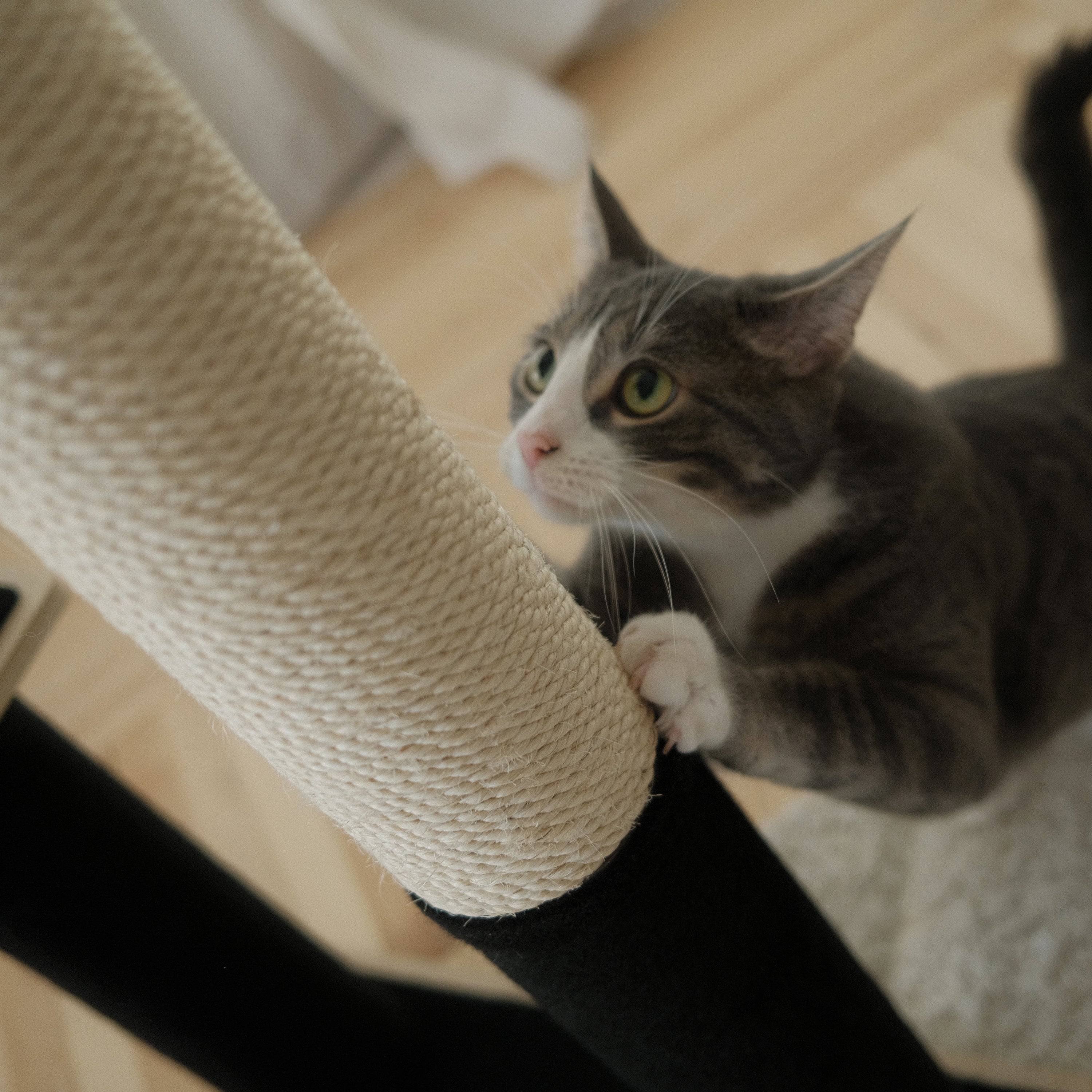 Arbre à Chat en Bois Contreplaqué Moderne Noba à 2 Étages