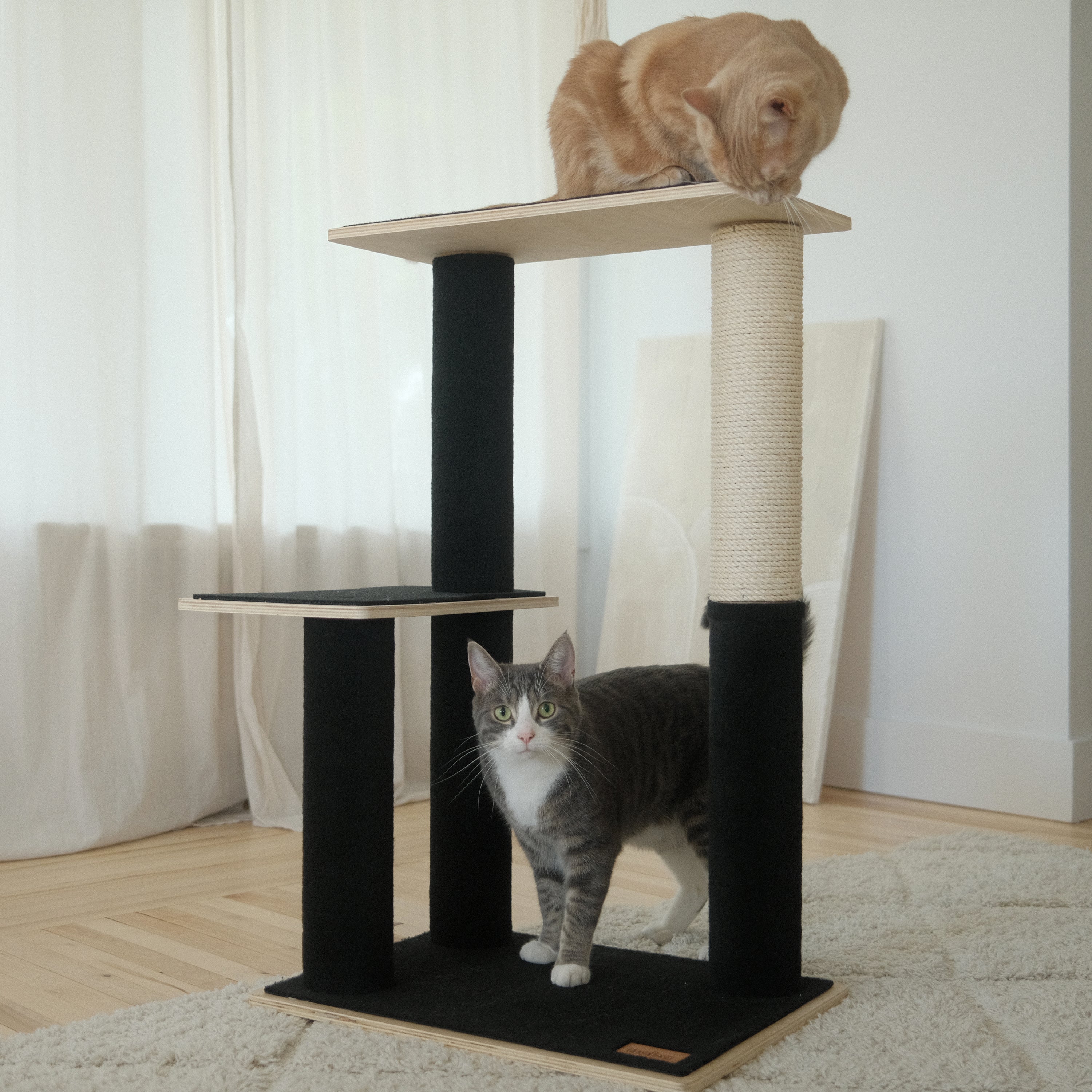 Arbre à Chat en Bois Contreplaqué Moderne Noba à 2 Étages