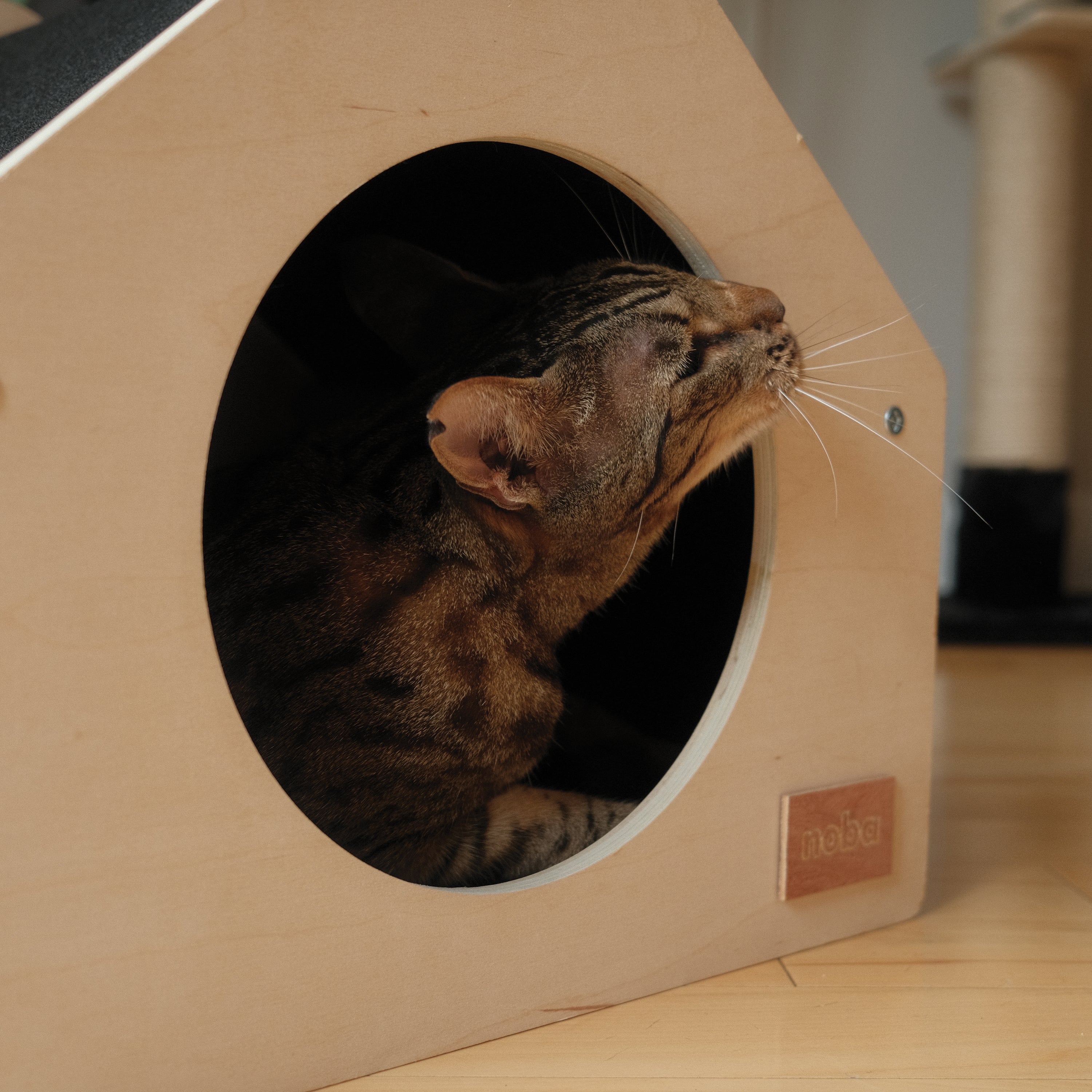 The Urban Condo Pet House