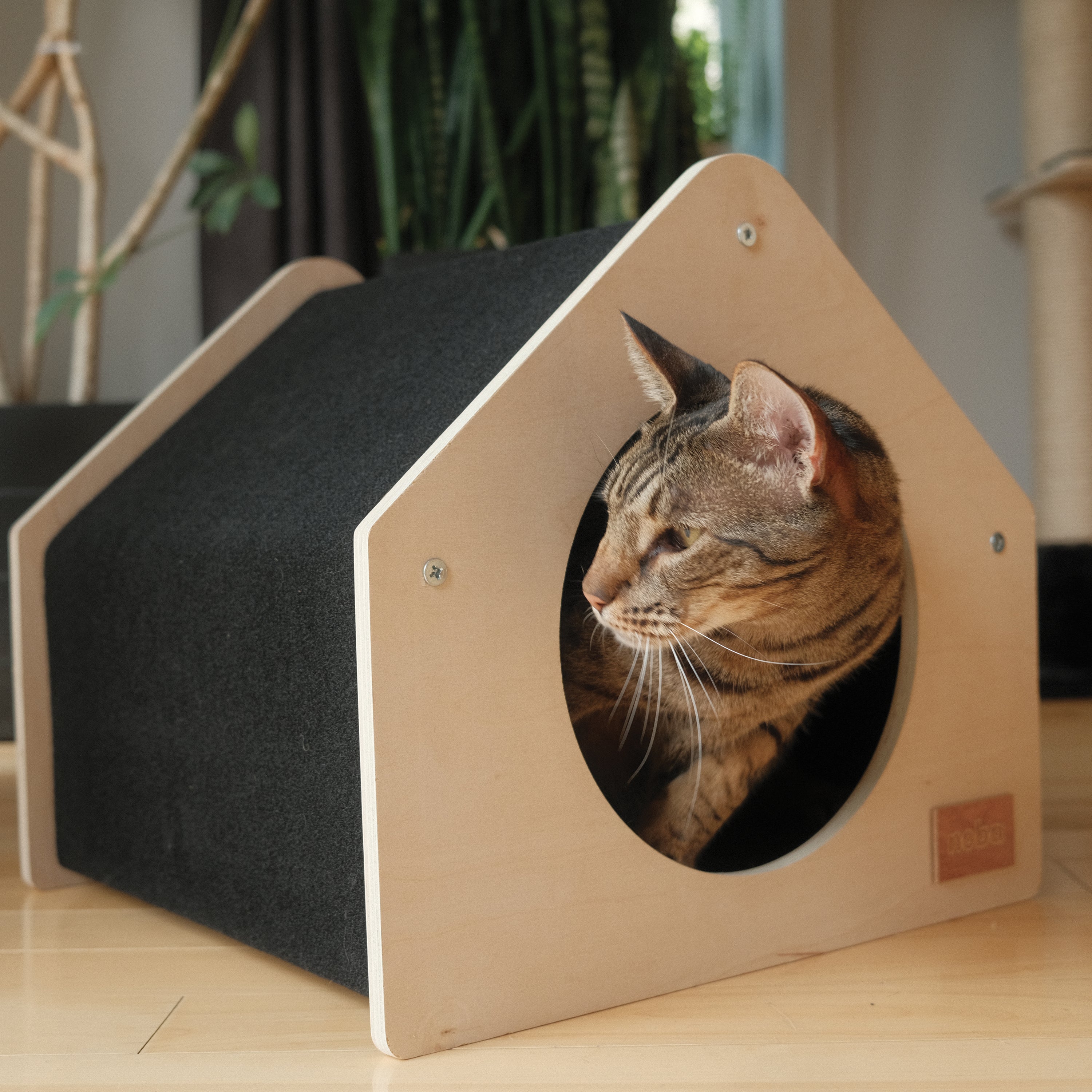 The Urban Condo Pet House