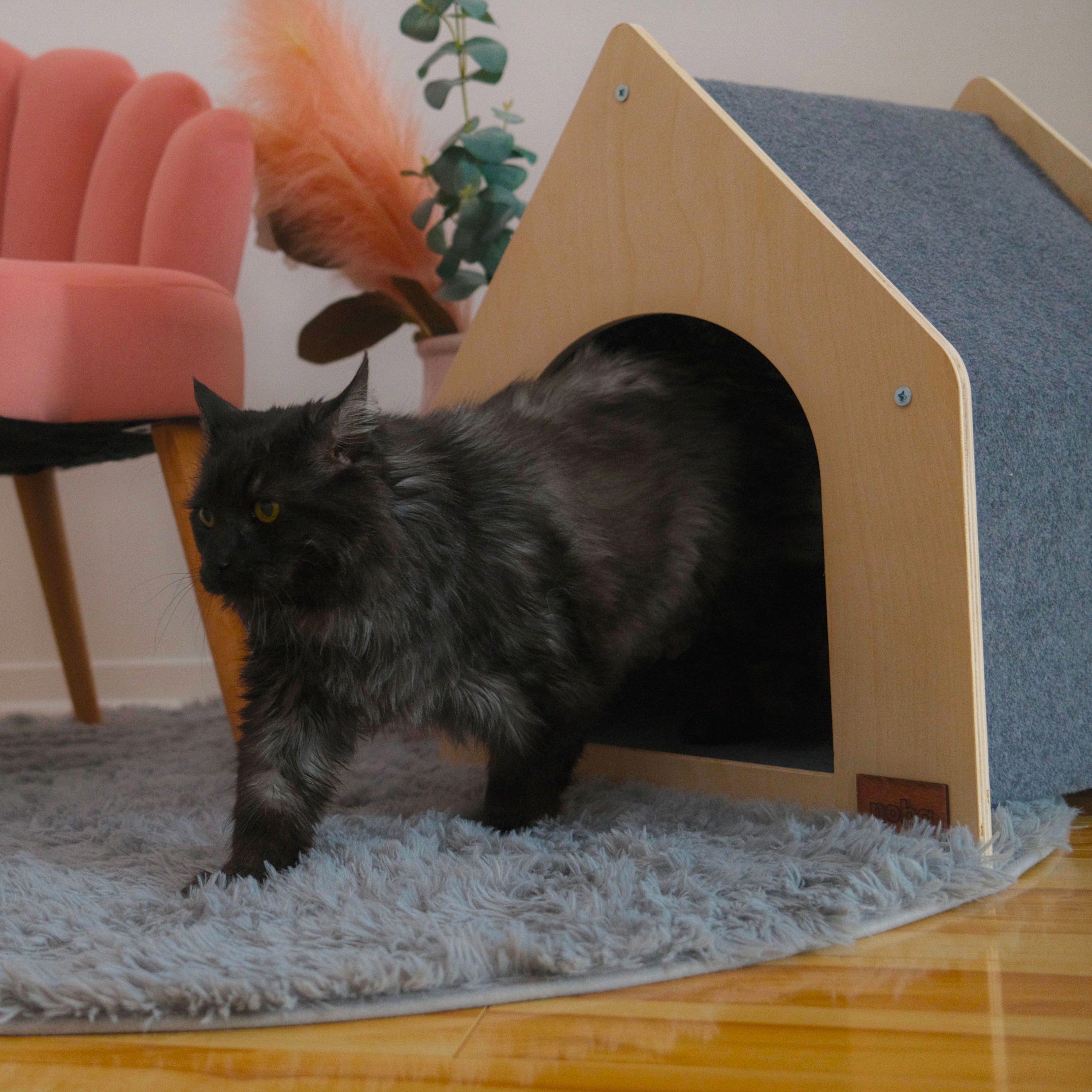 Le Chalet Noba - Maison griffable pour chat