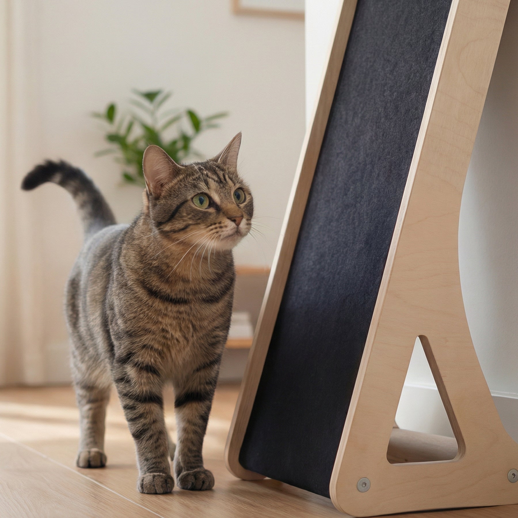 Griffoir Incliné Mural et de Sol pour Chat