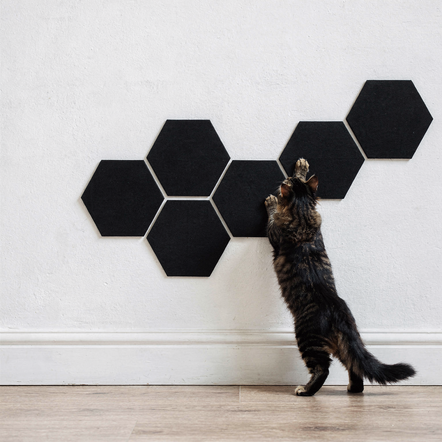 Hexagonal Wall Scratcher (3 pack)