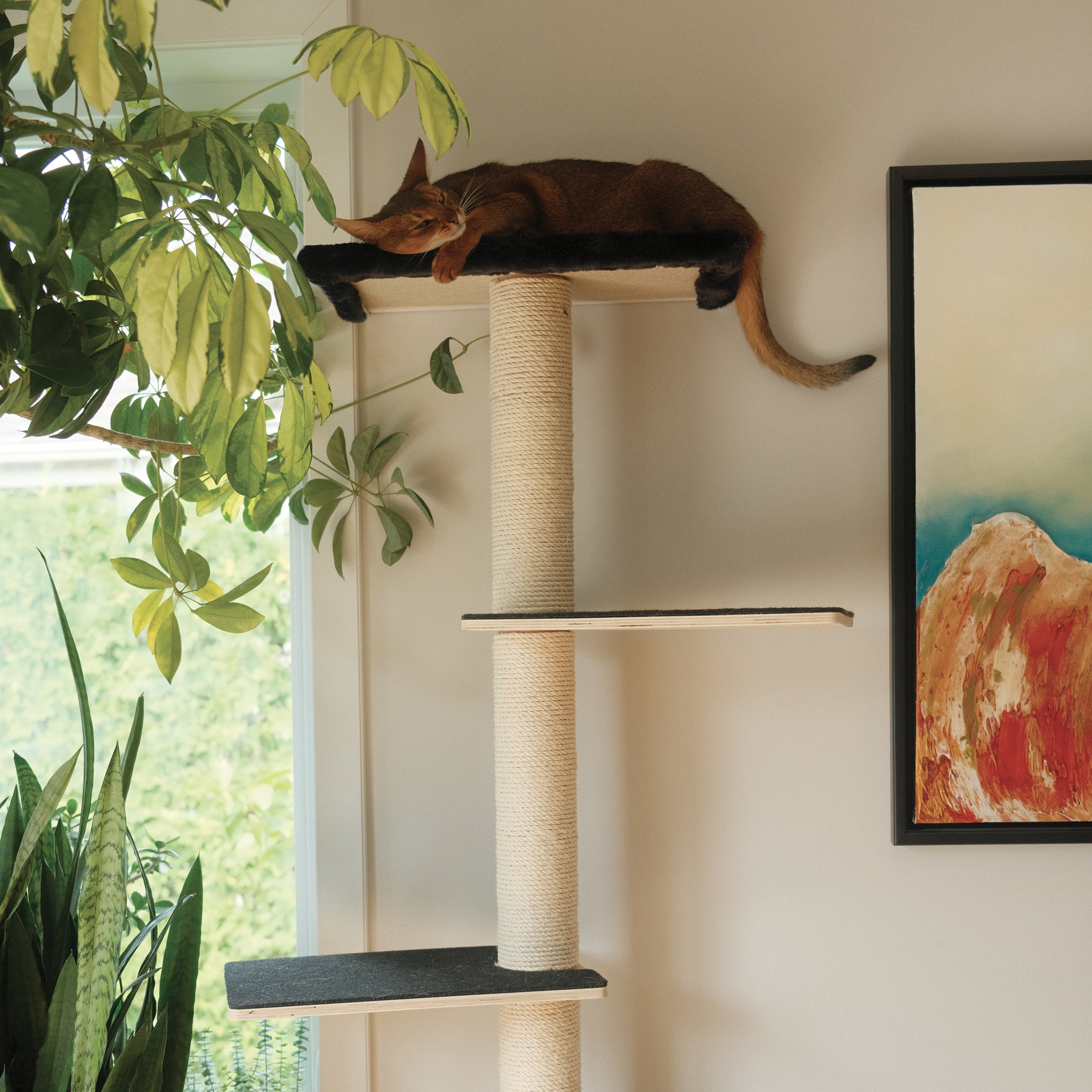 Kit de système mural Noba - L'aire de jeux verticale