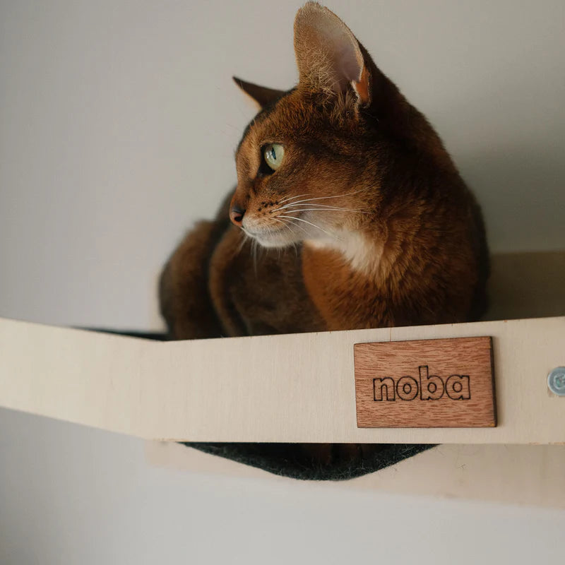 Wall Mounted Scratchable Cat Hammock